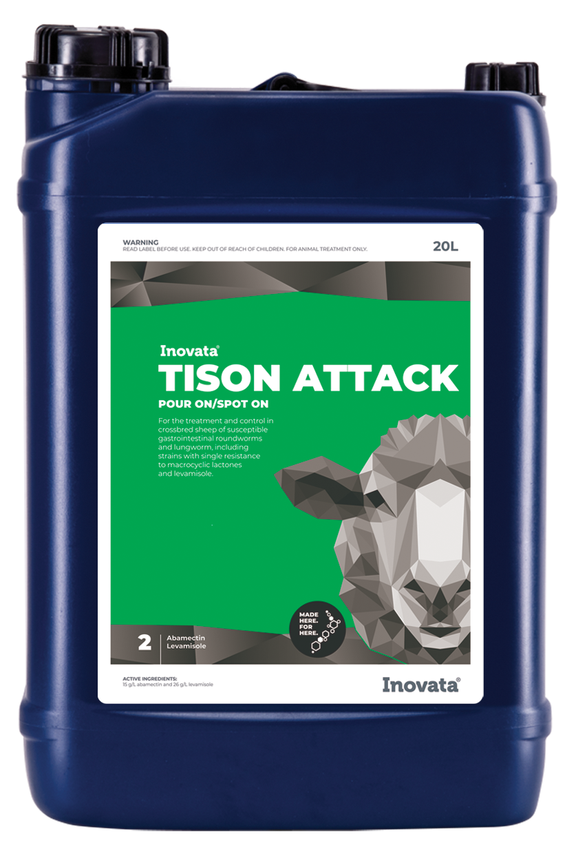 Tison Attack